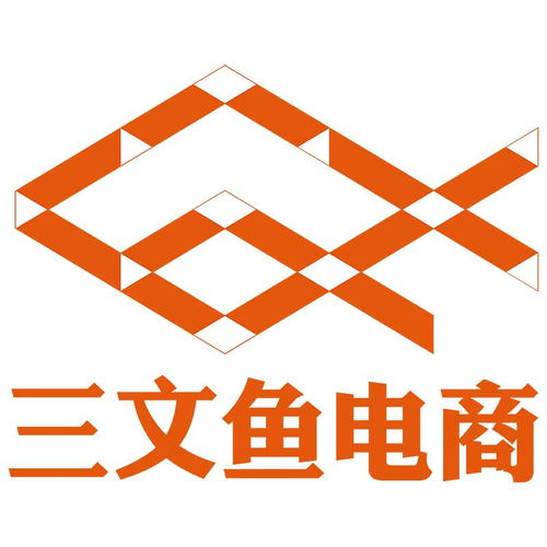 安徽三文魚網絡科技 技術驅動的數字創新先鋒